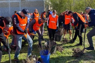 Sute de cetățeni din Timișoara plantând puieți și plante perene pe un fost teren degradat din cartierul Bucovina.