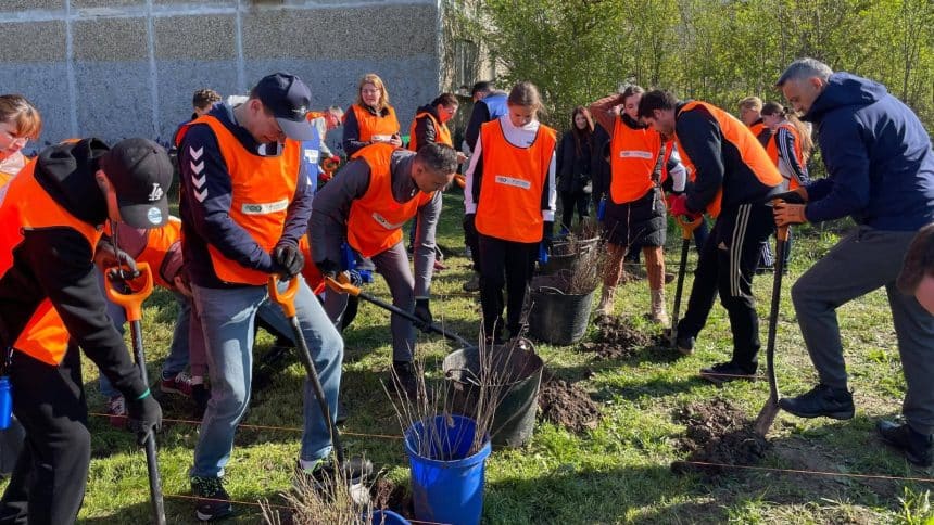 Sute de cetățeni din Timișoara plantând puieți și plante perene pe un fost teren degradat din cartierul Bucovina.
