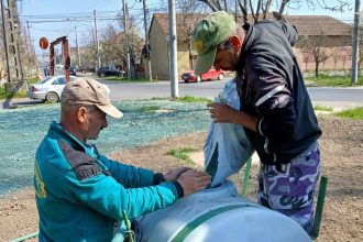 Peste 30 de specii de plante perene și anuale au fost plantate prin hidroînsămânțare pe fostul teren degradat de pe Calea Ghirodei.