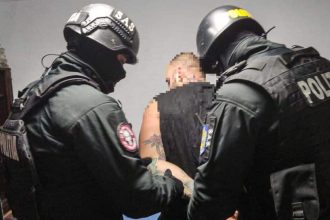 Violențe în Lunca Mureșului: Tânăr de 25 de ani reținut după ce a atacat doi pădurari și a distrus mașina de serviciu a silvicultorilor