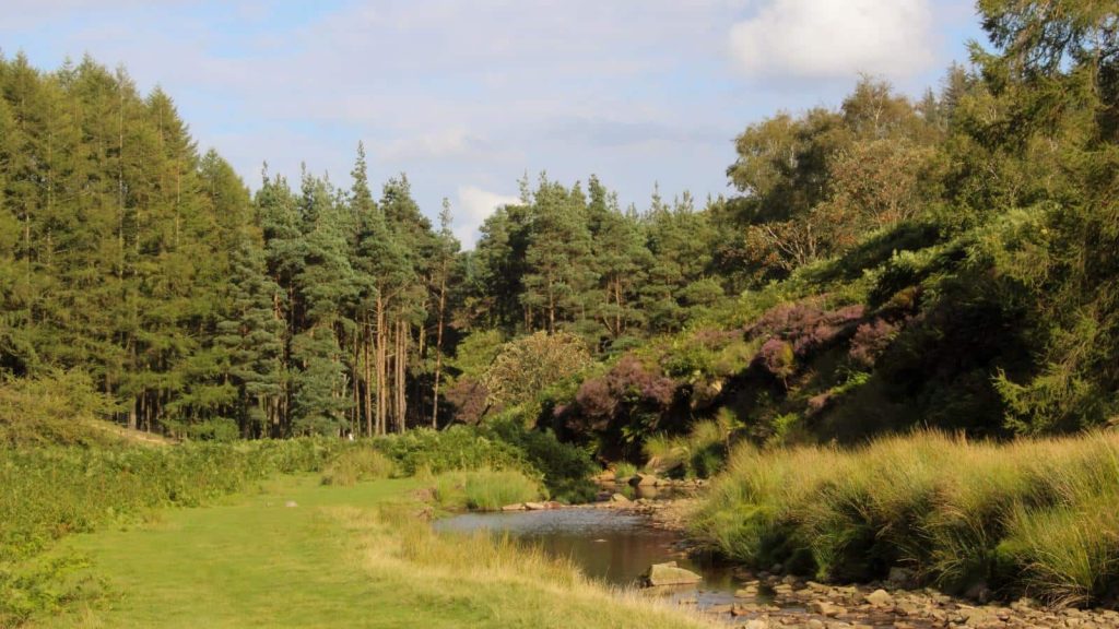 Natura te așteaptă: Trei destinații spectaculoase la mai puțin de 30 de minute de Timișoara.