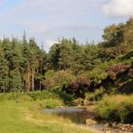 Natura te așteaptă: Trei destinații spectaculoase la mai puțin de 30 de minute de Timișoara.