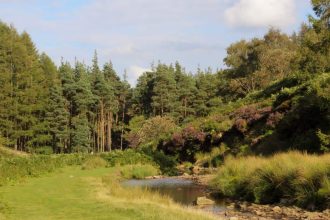 Natura te așteaptă: Trei destinații spectaculoase la mai puțin de 30 de minute de Timișoara.