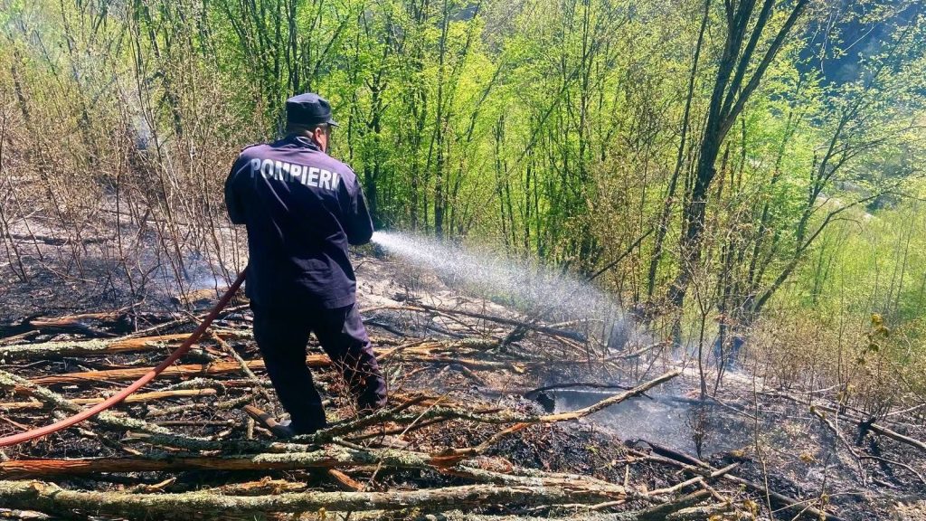 Echipaje ISU Hunedoara și voluntari intervenind pe teren abrupt pentru stingerea unui incendiu de pădure în satul Prăvăleni.
