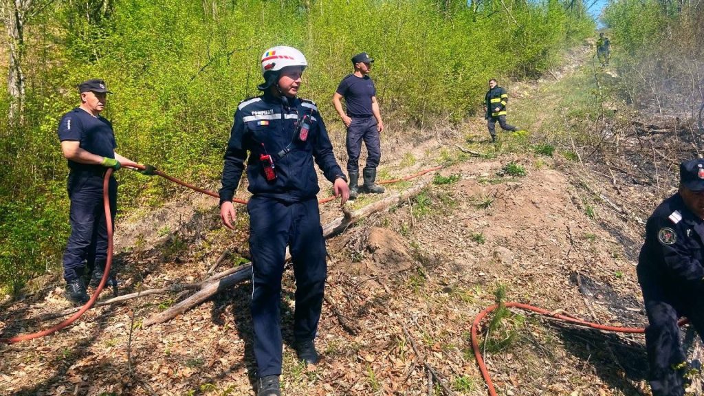 Echipaje ISU Hunedoara și voluntari intervenind pe teren abrupt pentru stingerea unui incendiu de pădure în satul Prăvăleni.