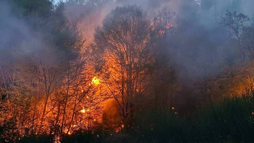 Echipaje ISU Hunedoara și voluntari intervenind pe teren abrupt pentru stingerea unui incendiu de pădure în satul Prăvăleni.