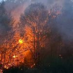 Echipaje ISU Hunedoara și voluntari intervenind pe teren abrupt pentru stingerea unui incendiu de pădure în satul Prăvăleni.