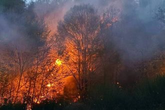 Echipaje ISU Hunedoara și voluntari intervenind pe teren abrupt pentru stingerea unui incendiu de pădure în satul Prăvăleni.