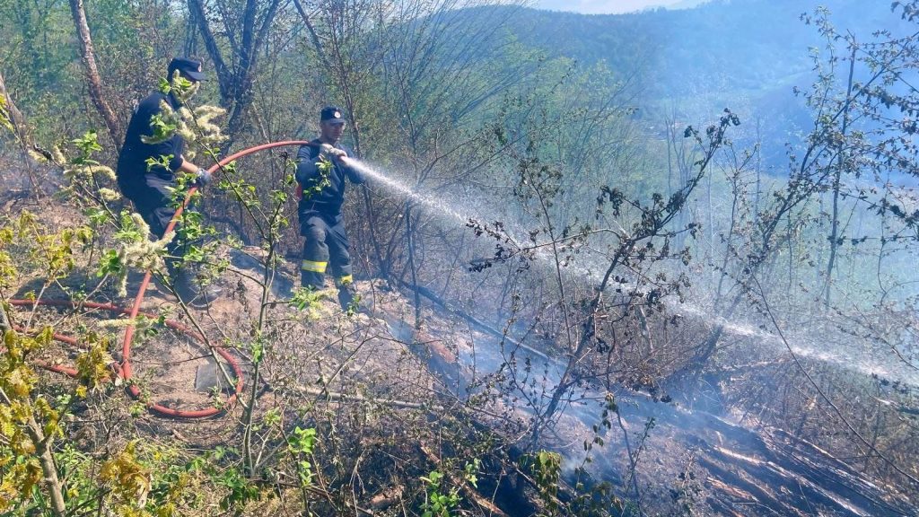 Echipaje ISU Hunedoara și voluntari intervenind pe teren abrupt pentru stingerea unui incendiu de pădure în satul Prăvăleni.