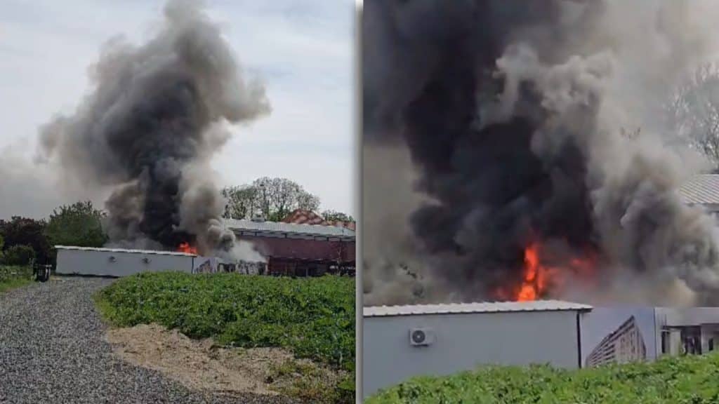 Pompierii de la ISU Timiș intervenind pentru stingerea celor trei containere cuprinse de flăcări pe strada Marginii.