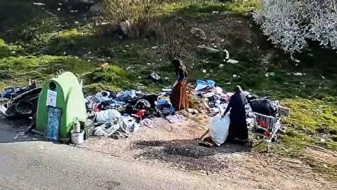 Echipaj al Poliției Locale Timișoara inspectând o rampă clandestină de deșeuri pe domeniul public pentru identificarea contravenienților.