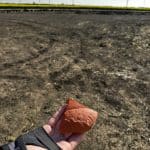 Istoria Banatului sub viitoarea Centură Vest a Timișoara