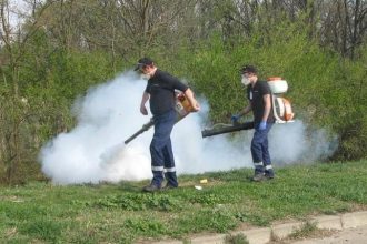 Echipe specializate efectuând dezinsecția terestră pe bulevardele și în parcurile din Timișoara în intervalul orar 21:00 - 06:00.