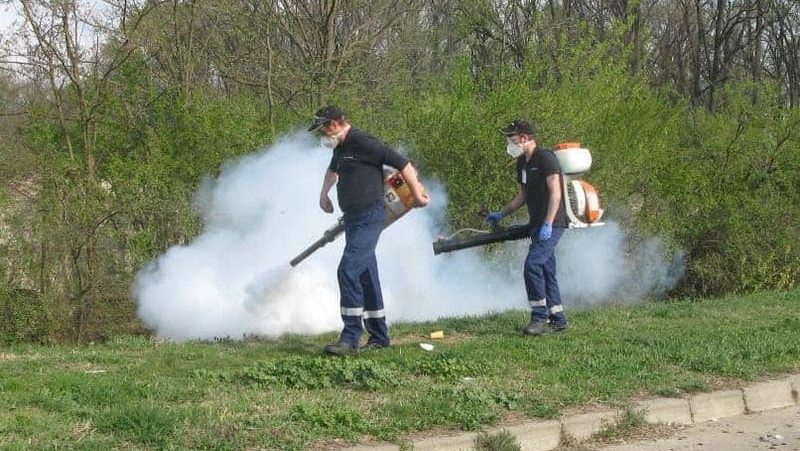 Echipe specializate efectuând dezinsecția terestră pe bulevardele și în parcurile din Timișoara în intervalul orar 21:00 - 06:00.