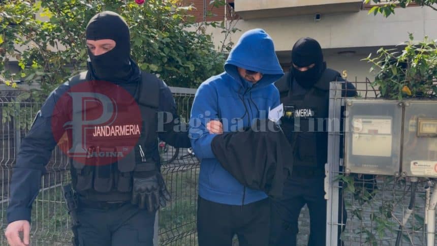 Pungi cu canabis și sume de bani confiscate de procurorii DIICOT Timișoara în urma unui flagrant de trafic de droguri.