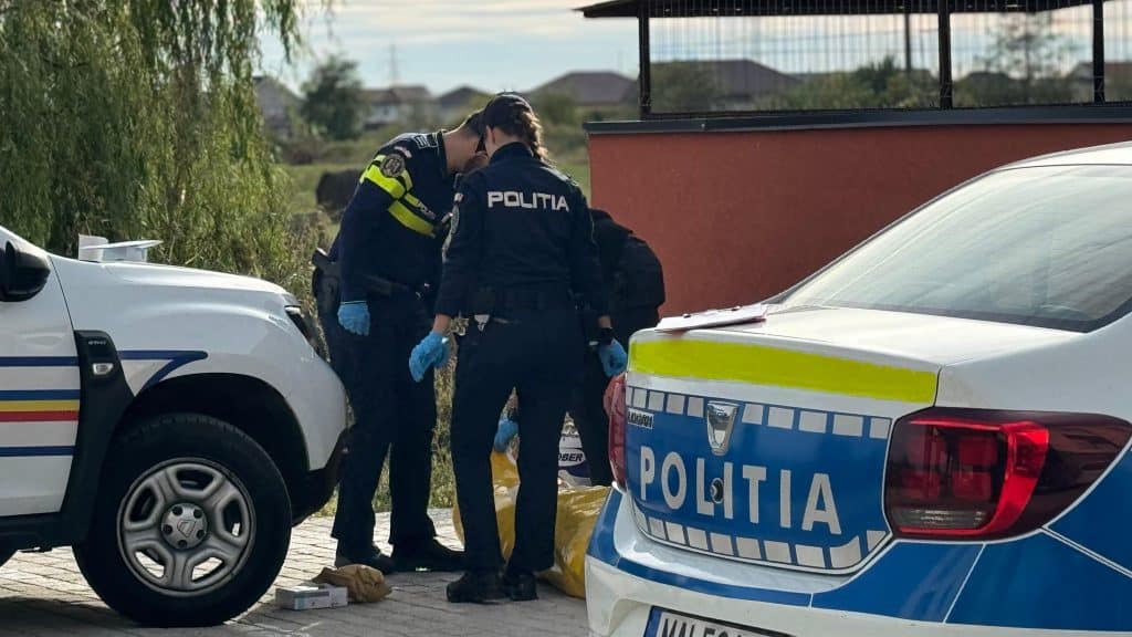 Locul accidentului de muncă de lângă Birda, unde un tânăr de 19 ani a fost lovit mortal de o componentă a sistemului de irigații.