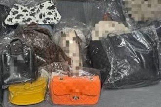 Polițiști verificând articole vestimentare și încălțăminte de brand suspectate a fi contrafăcute într-un magazin din Lupeni.