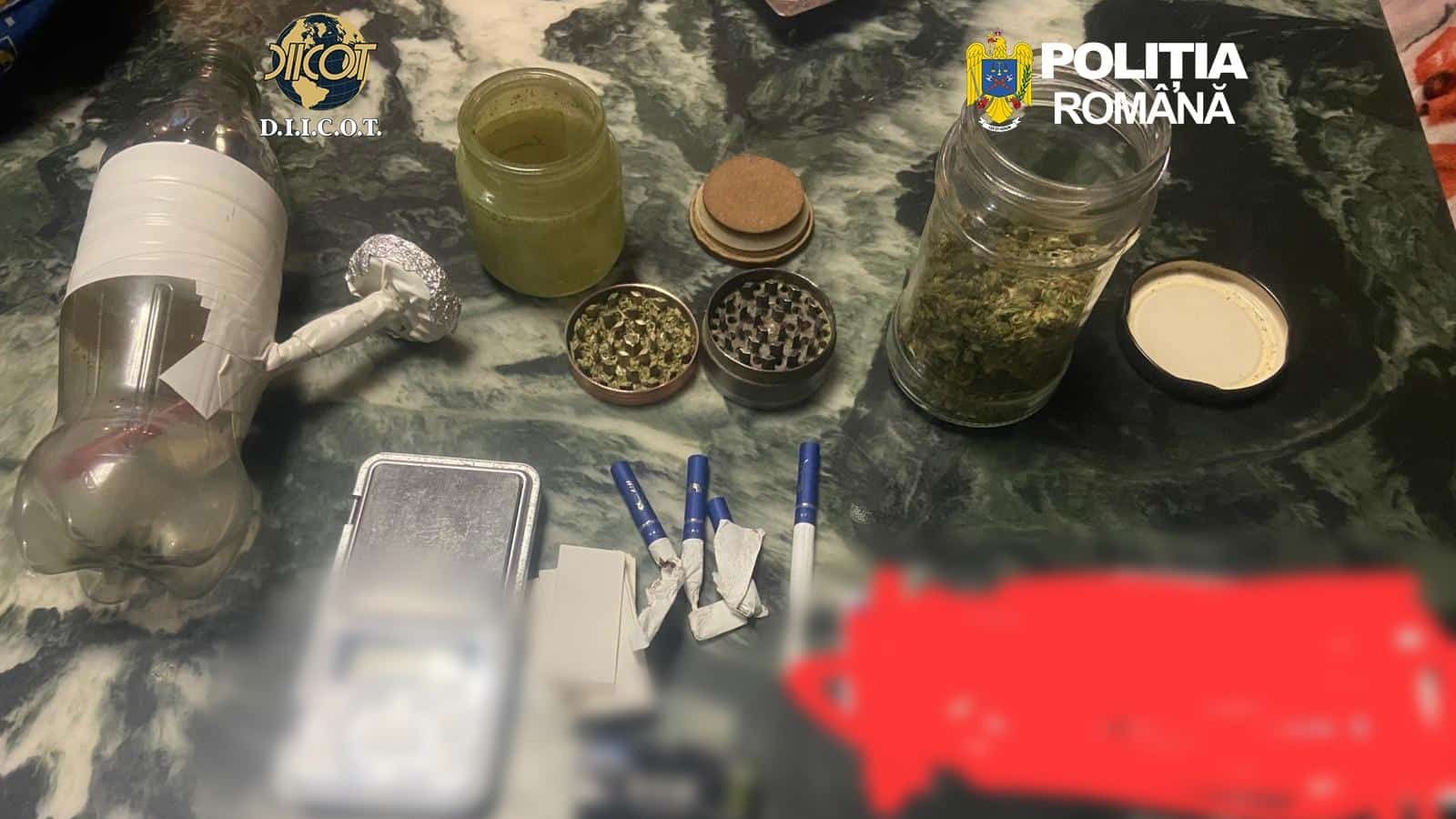 Probe ridicate de DIICOT: canabis, cântare de precizie și grindere descoperite la locuința unui traficant din Timișoara.