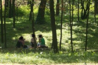 Echipaj al Poliției Locale verificând zonele de picnic din Timișoara pentru prevenirea incendiilor.