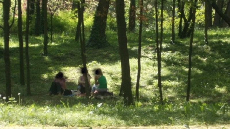 Echipaj al Poliției Locale verificând zonele de picnic din Timișoara pentru prevenirea incendiilor.