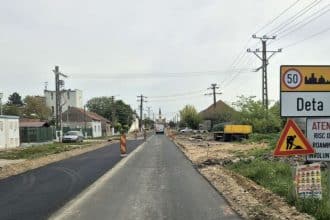 Utilaje de mare tonaj lucrând la lărgirea platformei drumului DN 59B între Livezile și Deta.