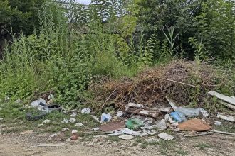 Echipaj al Poliției Locale verificând starea de igienizare a unui teren intravilan în comuna Moșnița Nouă.