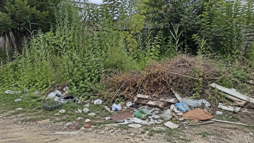 Echipaj al Poliției Locale verificând starea de igienizare a unui teren intravilan în comuna Moșnița Nouă.