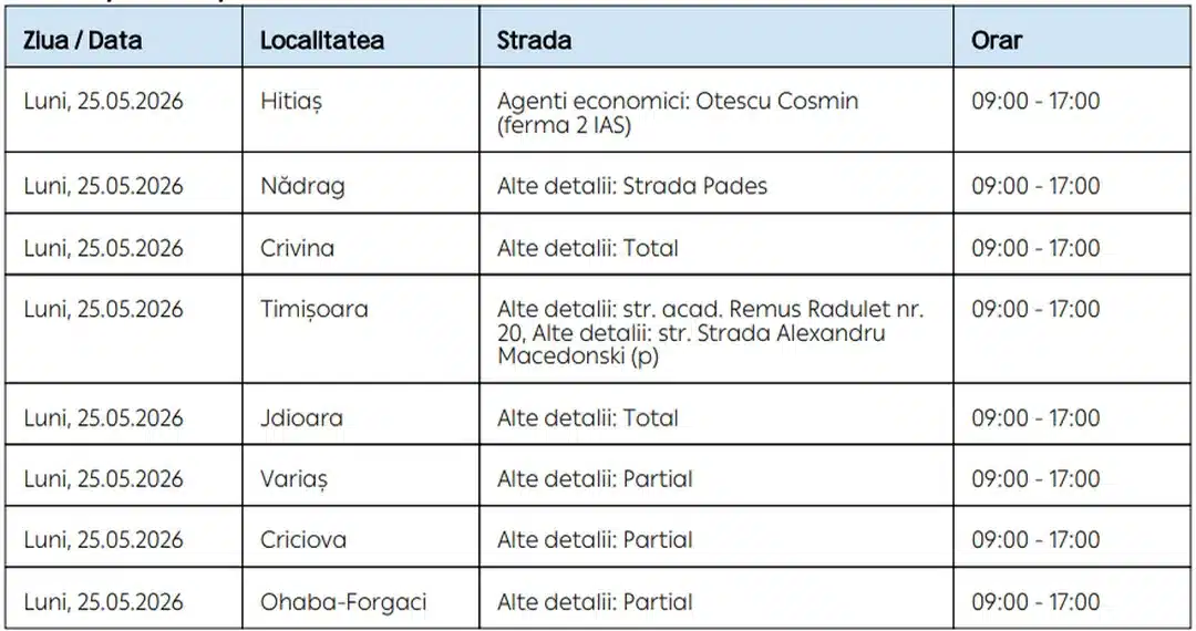 „Echipă de tehnicieni efectuând lucrări de revizie și modernizare la rețeaua de distribuție a energiei electrice din județul Timiș.”