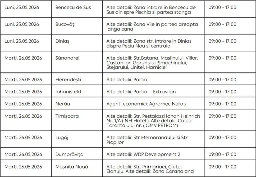 „Echipă de tehnicieni efectuând lucrări de revizie și modernizare la rețeaua de distribuție a energiei electrice din județul Timiș.”