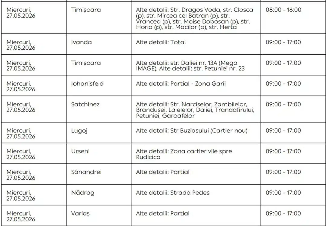 „Echipă de tehnicieni efectuând lucrări de revizie și modernizare la rețeaua de distribuție a energiei electrice din județul Timiș.”