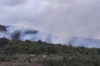 Pompieri militari utilizând suflante și vermorele pentru stingerea focarelor de vegetație pe teren accidentat la Ilova.