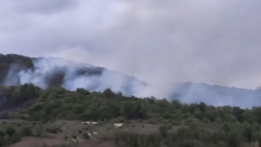Pompieri militari utilizând suflante și vermorele pentru stingerea focarelor de vegetație pe teren accidentat la Ilova.