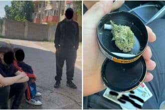 Cutie metalică cu substanțe verzi-oliv și un grinder, probe ridicate de Poliția Locală Timișoara de pe strada Lorena.