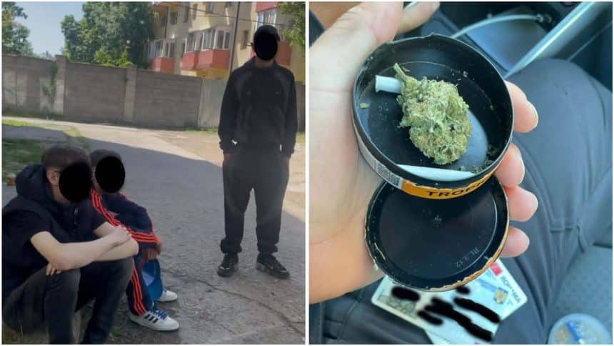 Cutie metalică cu substanțe verzi-oliv și un grinder, probe ridicate de Poliția Locală Timișoara de pe strada Lorena.