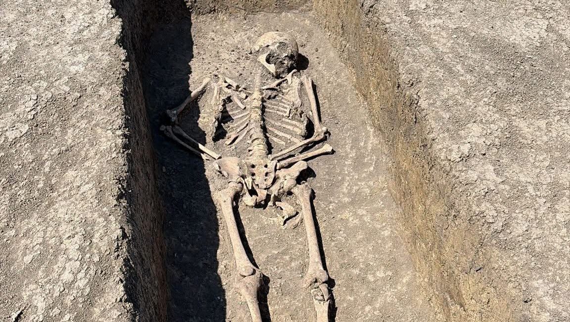 Arheologi excavând mormântul unui războinic avar îngropat alături de calul său, pe șantierul Centurii Timișoara Vest.