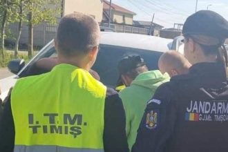Inspectori de muncă verificând actele angajaților în județul Timiș, unde s-au aplicat amenzi de peste 1,2 milioane de lei.