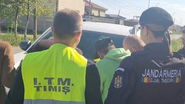 Inspectori de muncă verificând actele angajaților în județul Timiș, unde s-au aplicat amenzi de peste 1,2 milioane de lei.