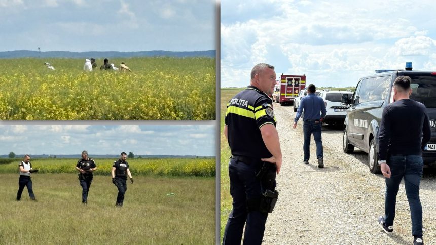 Zeci de polițiști și jandarmi desfășurând căutări pe un câmp din Parhida, județul Bihor, după uciderea unei eleve de 18 ani.