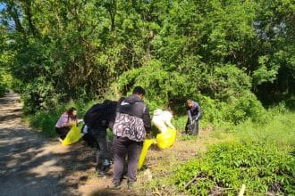 Grup de studenți și elevi alături de rangerii Parcului Natural Lunca Mureșului colectând deșeuri în saci în timpul acțiunii de igienizare.