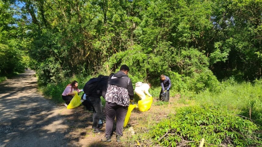 Grup de studenți și elevi alături de rangerii Parcului Natural Lunca Mureșului colectând deșeuri în saci în timpul acțiunii de igienizare.