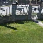 Imagine de arhivă cu intrarea Școlii Gimnaziale Dumbrăvița, unde conducerea a declanșat o anchetă după ce trei elevi au ieșit în timpul orelor.