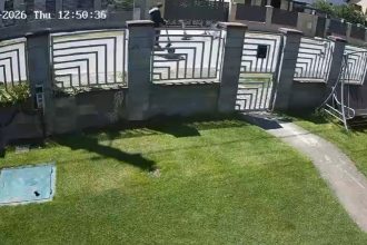 Imagine de arhivă cu intrarea Școlii Gimnaziale Dumbrăvița, unde conducerea a declanșat o anchetă după ce trei elevi au ieșit în timpul orelor.