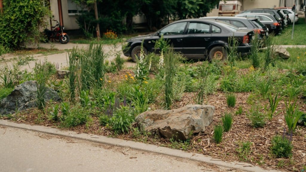 Spațiu verde amenajat modern în Timișoara cu bolovani decorativi și strat de mulci, obiectul sancțiunii Gărzii de Mediu.
