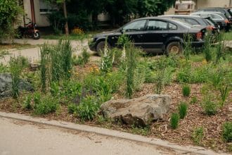 Spațiu verde amenajat modern în Timișoara cu bolovani decorativi și strat de mulci, obiectul sancțiunii Gărzii de Mediu.