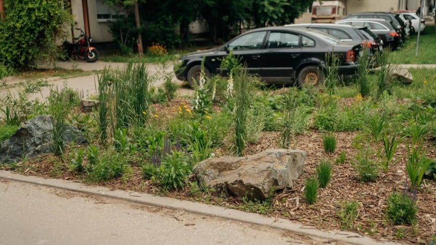 Spațiu verde amenajat modern în Timișoara cu bolovani decorativi și strat de mulci, obiectul sancțiunii Gărzii de Mediu.