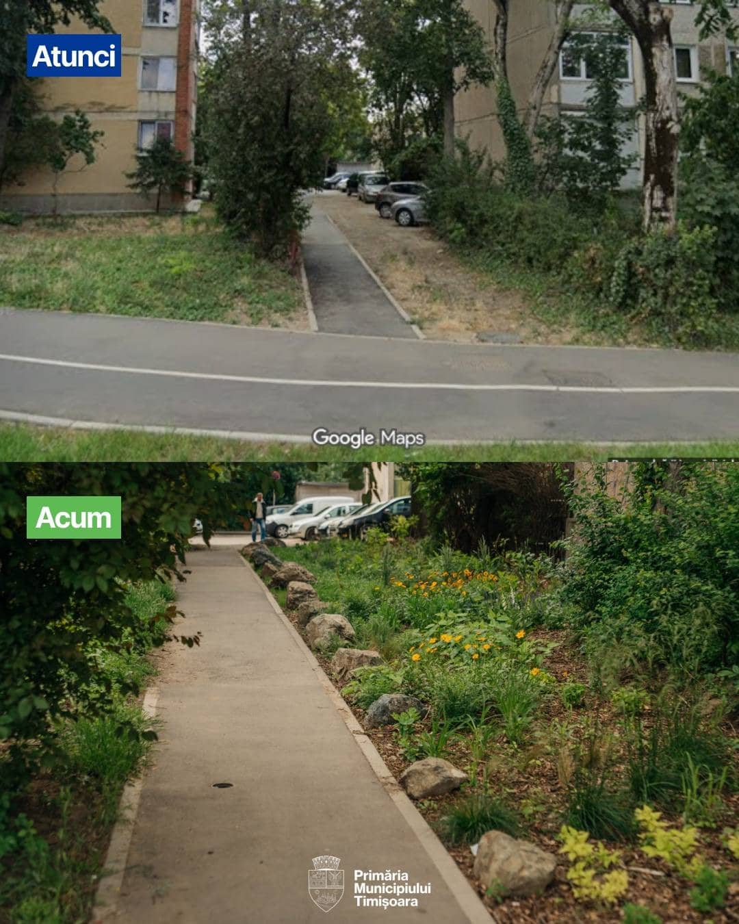 Spațiu verde amenajat modern în Timișoara cu bolovani decorativi și strat de mulci, obiectul sancțiunii Gărzii de Mediu.
