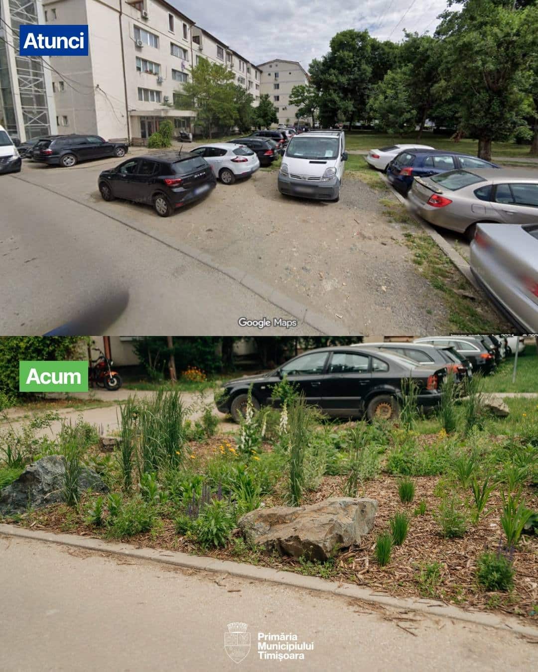 Spațiu verde amenajat modern în Timișoara cu bolovani decorativi și strat de mulci, obiectul sancțiunii Gărzii de Mediu.