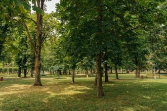 „Randare 3D cu proiectul noilor parcuri din Timișoara, prevăzute cu iazuri artificiale, zone de picnic și spații pentru câini.”