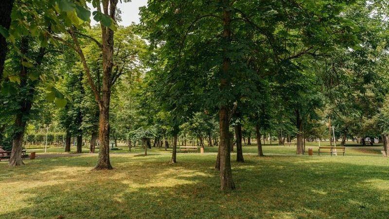 „Randare 3D cu proiectul noilor parcuri din Timișoara, prevăzute cu iazuri artificiale, zone de picnic și spații pentru câini.”