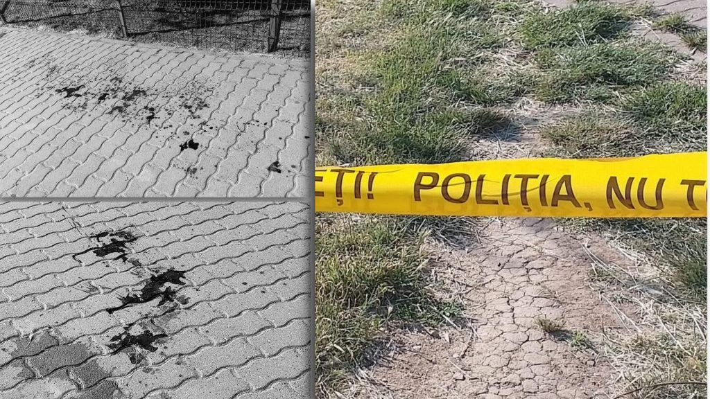 „Echipaje de poliție și ambulanță intervenind în Parcul Pădurice din Timișoara după o bătaie generală.”
